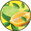 Lemon Lime Bitters